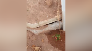 Veja v&iacute;deo; moradores denunciam t&uacute;mulos abertos em cemit&eacute;rio de Divin&oacute;polis
