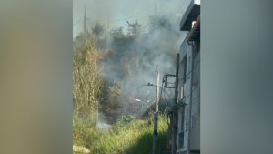 Veja vídeo: Bombeiros combatem incêndio em terreno no Alto São Vicente
