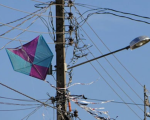 Pipas são responsáveis por quase 500 ocorrências com a rede elétrica nos quatro primeiros meses de 2024