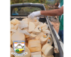 IMA faz descarte de 530kg de queijos em Pitangui