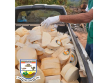 IMA faz descarte de 530kg de queijos em Pitangui