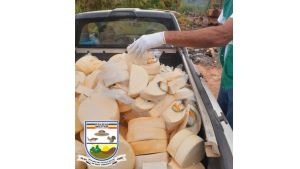 IMA faz descarte de 530kg de queijos em Pitangui