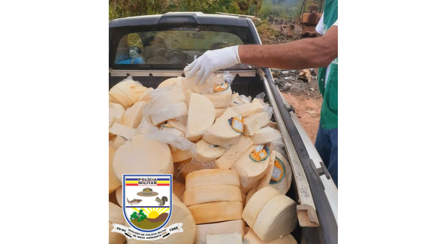 IMA faz descarte de 530kg de queijos em Pitangui - queijos