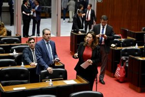 Proposta de Emenda &agrave; Constitui&ccedil;&atilde;o, que tem como primeira signat&aacute;ria a deputada Bella Gon&ccedil;alves, foi uma das mat&eacute;rias analisadas pelo Plen&aacute;rio da manh&atilde;