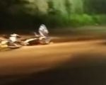 Ciclista é atropelado na BR-262, em Nova Serrana