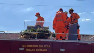 VEJA V&Iacute;DEO: Rel&iacute;quias de Santa Teresinha chegam a Divin&oacute;polis