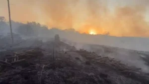 Onze hectares s&atilde;o consumidos pelo fogo na zona rural