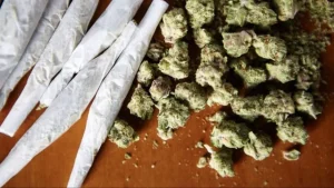 Com nova regra do porte de maconha, 40% dos casos de Divin&oacute;polis em 2024 n&atilde;o dariam cadeia