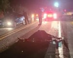Homem fica ferido após acidente entre carro, moto e cavalo em Formiga