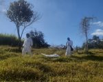 Divinópolis: Confirmada morte por febre maculosa