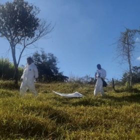 Divinópolis: Confirmada morte por febre maculosa