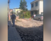 Divinópolis: árvore cai em cima de motociclistas na Avenida Governador Magalhães Pinto