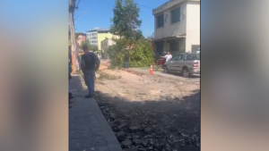 Divin&oacute;polis: &aacute;rvore cai em cima de motociclistas na Avenida Governador Magalh&atilde;es Pinto