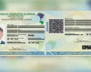 Polícia Civil alerta para notícias falsas sobre carteira de identidade