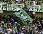 O Leão recebe o Coelho valendo a liderança da série B. Sport x América.