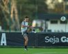 Milito ganha mais opções para o returno do Brasileirão.
