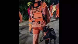 Bombeiros procuram por idosa de 92 anos desaparecida em &aacute;rea rural de Abaet&eacute;