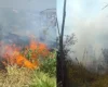 Formiga: Idosa acusada de provocar incêndio em terreno baldio é presa