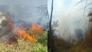 Formiga: Idosa acusada de provocar inc&ecirc;ndio em terreno baldio &eacute; presa