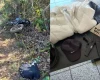Pitangui: PM flagra desmanche de motos em trilha
