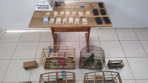 Bambuí: Trio é detido com drogas e multado em mais de R$ 28 mil após apreensão de pássaros