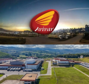 Avivar promove café com entrevista, saiba mais.