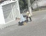 Vídeo Ladrão furta TVs e violão em Divinópolis