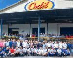 Codil realiza Feira de Empregabilidade em Divinópolis
