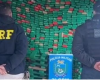 Foragido por homicídio em Nova Serrana é preso com quase duas toneladas de maconha