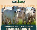 AGROESTE oferece linha de crédito específica para o produtor rural