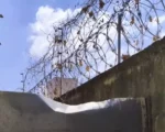 Rapaz é preso ao tentar entregar drogas em presídio de Itaúna