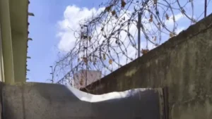 Rapaz &eacute; preso ao tentar entregar drogas em pres&iacute;dio de Ita&uacute;na
