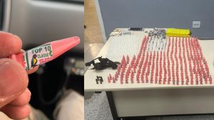 Dupla da &lsquo;Gangue do Arara&rsquo; &eacute; detida com grande quantidade de drogas na Serra, em BH