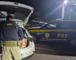 Homem é preso com mais de 300 kg de queijo furtado na Grande BH