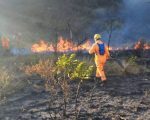 Incêndios atingem Serra da Moeda e Serra do Cipó, na Grande BH
