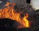 Queimadas deixam quase 160 mil casas sem energia