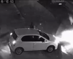 VÍDEO: Mãe e filha são atacadas por cães no Nova Esperança, em BH