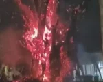Nova Serrana: Árvore histórica é tomada pelas chamas; fogo chegou a 10 metros de altura