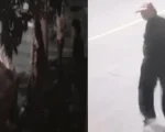 Acusado de atear fogo no carro da ex em Divinópolis, é preso em Goiás
