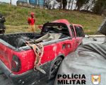 Acidente de trânsito com vítima fatal em Formiga