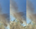 Moradores filmam incêndio em mata no bairro São Lucas em Divinópolis; veja vídeo