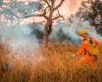 Divinópolis lidera número de incêndios florestais em Minas Gerais
