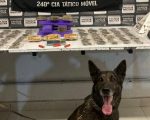 Traficante é preso com grande quantidade de drogas no bairro Maria Helena, em Divinópolis