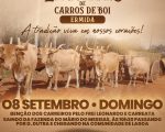 Tradição viva: 7° Encontro de Carros de Boi em Ermida