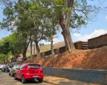 Adolescente morre atropelado por trem na Grande BH