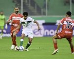 Coelho encara o Galo de Campina de olho no G4. CRB x América.