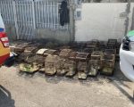 Homem é preso por manter mais de 70 aves em cativeiro em Cláudio