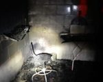 Bombeiros combatem incêndio em salão de beleza em Lagoa da Prata
