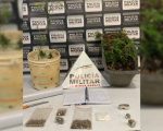 Agricultura familiar: Mãe e filho plantam maconha em Divinópolis