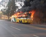 Mulher coloca fogo no próprio corpo e ônibus é incendiado na BR-381